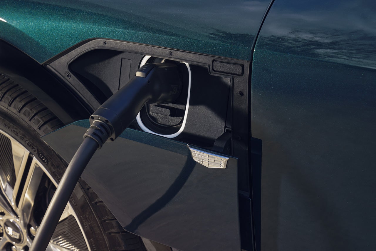 Schwan Cadillac in Mandan ND